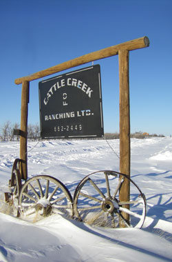 Entrance signl